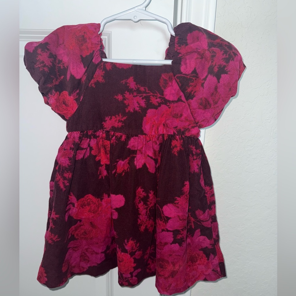 Baby Gap Floral Corduroy Dress with matching Bloomers